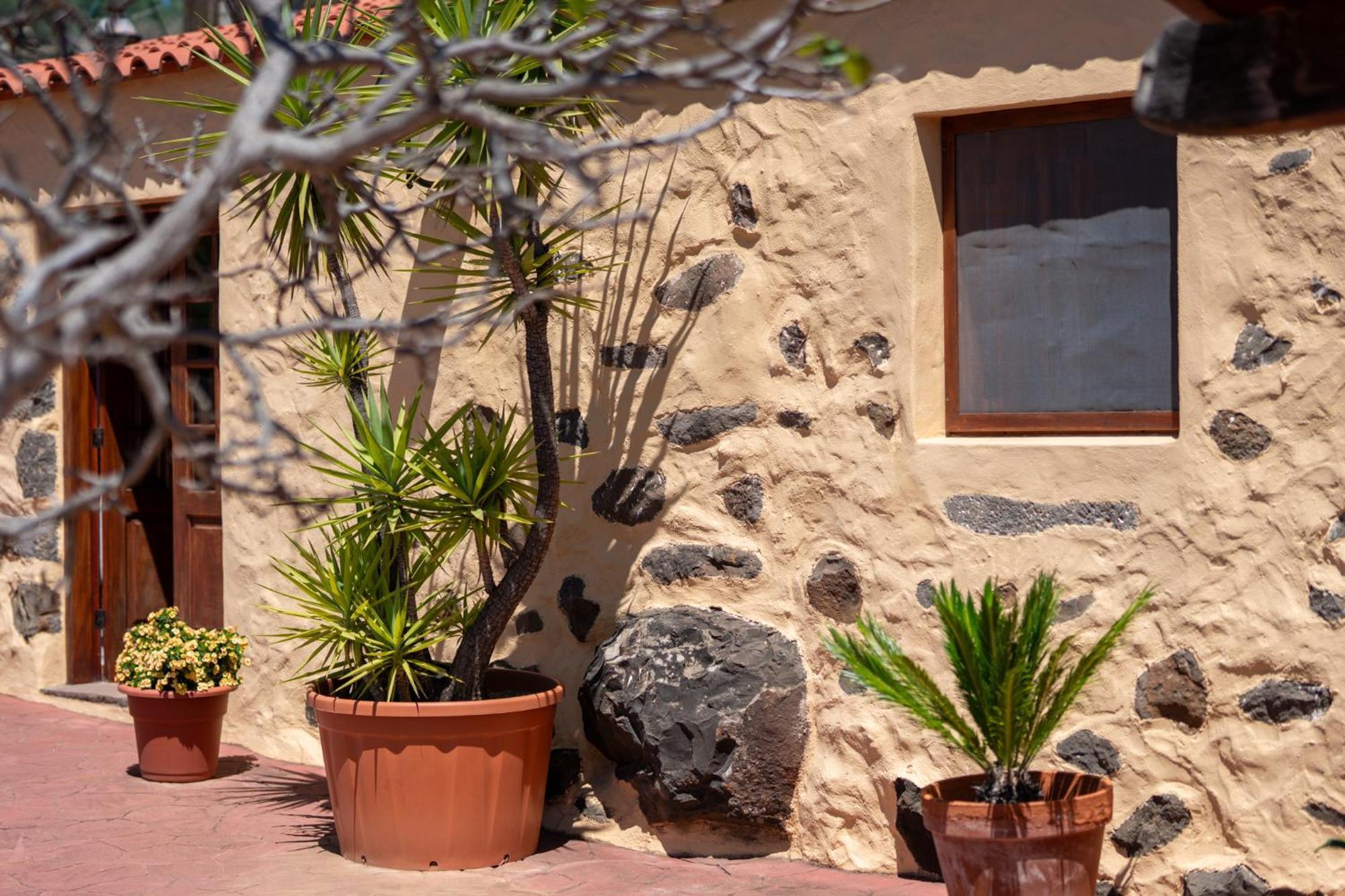 Casa Rural Tinamar Vega de San Mateo Exterior foto